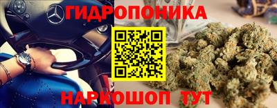 круглые Пугачёв