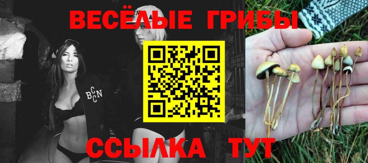 Тара  Вход с VPN  Каннабис  Меф   Экстази  ГАШИШ  Cocaine  Мефедрон 