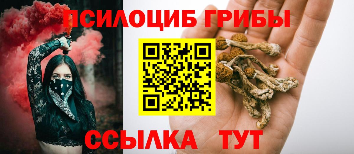 Псилоцибиновые грибы GOLDEN TEACHER Тара