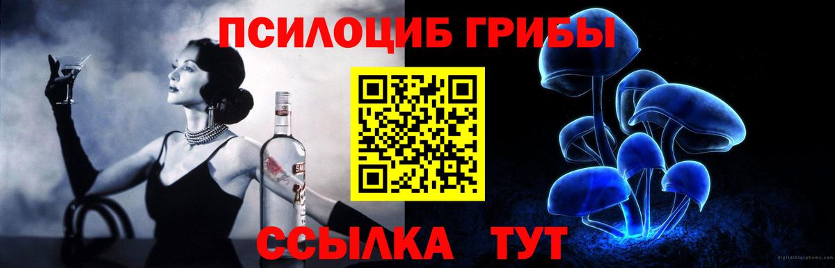 Псилоцибиновые грибы Psilocybine cubensis  Вход с VPN  Галлюциногенные грибы Psilocybine cubensis  Тара 